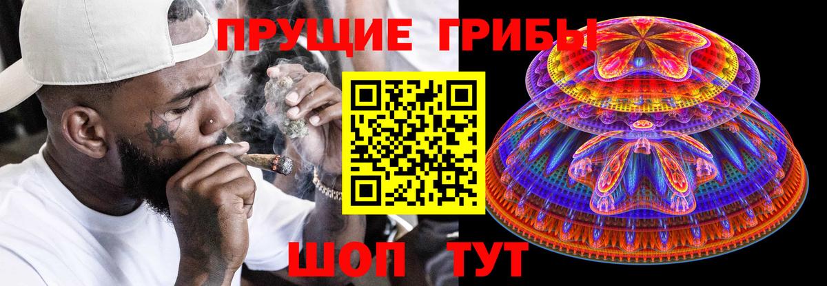 Галлюциногенные грибы мицелий Звенигород