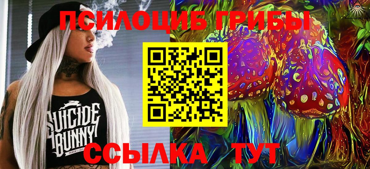 Звенигород  Псилоцибиновые грибы мицелий  Вход с VPN 